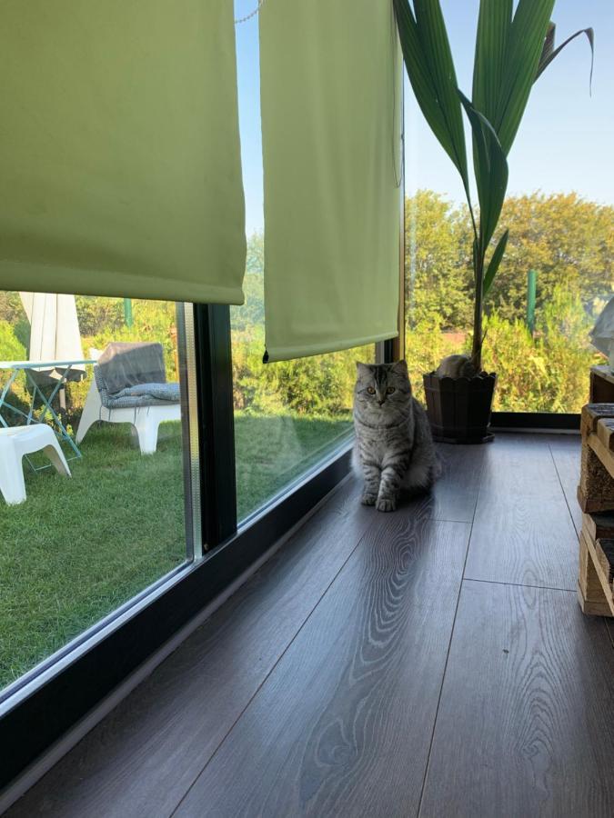 Tu&Ya Cabins Agigea Bagian luar foto