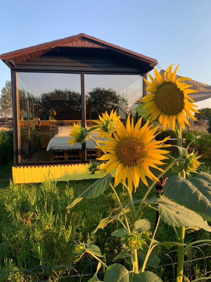 Tu&Ya Cabins Agigea Bagian luar foto